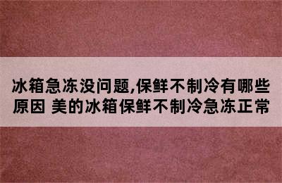 冰箱急冻没问题,保鲜不制冷有哪些原因 美的冰箱保鲜不制冷急冻正常